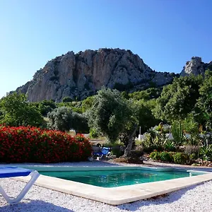 Olive Branch , El Chorro Spain